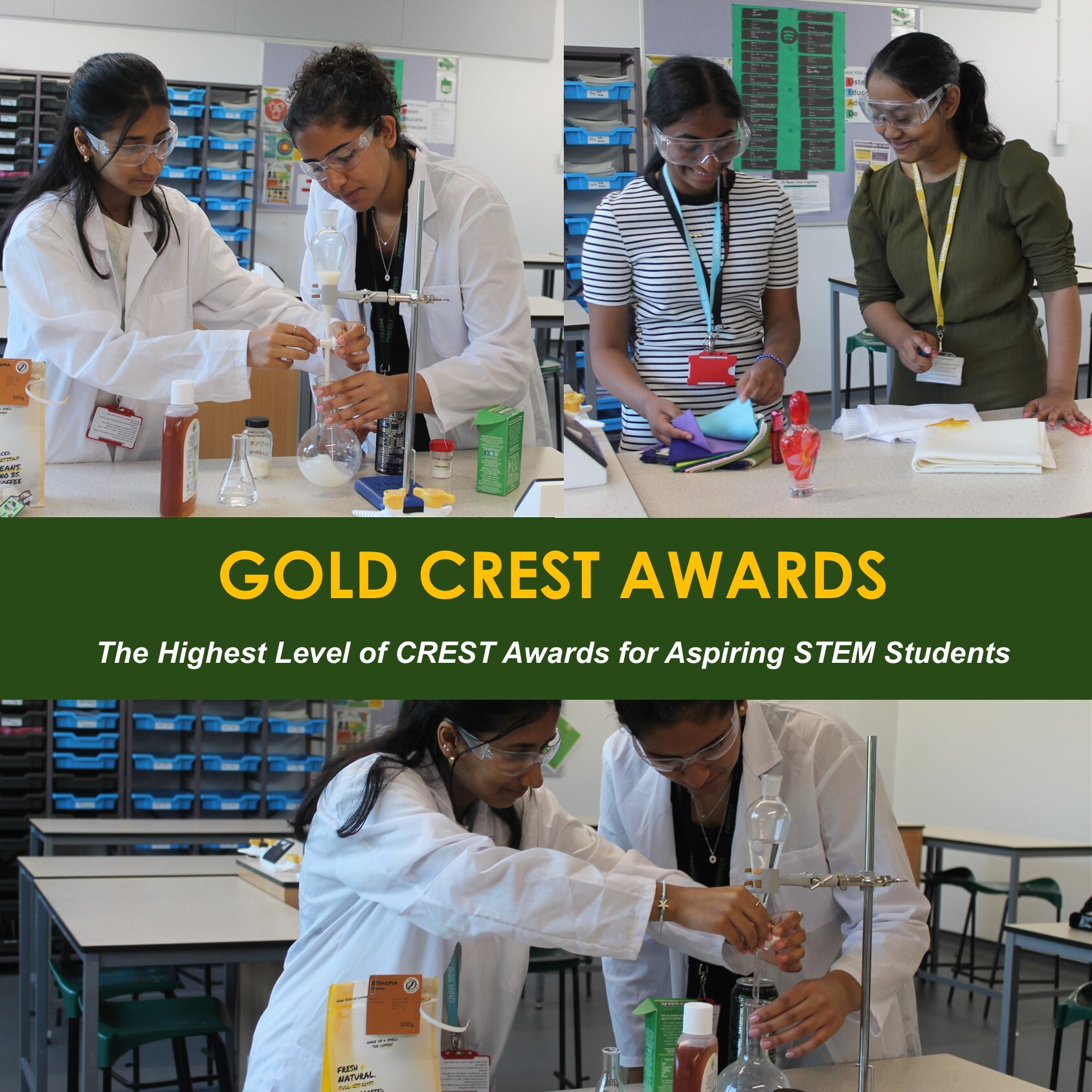 Gold crest awards website image