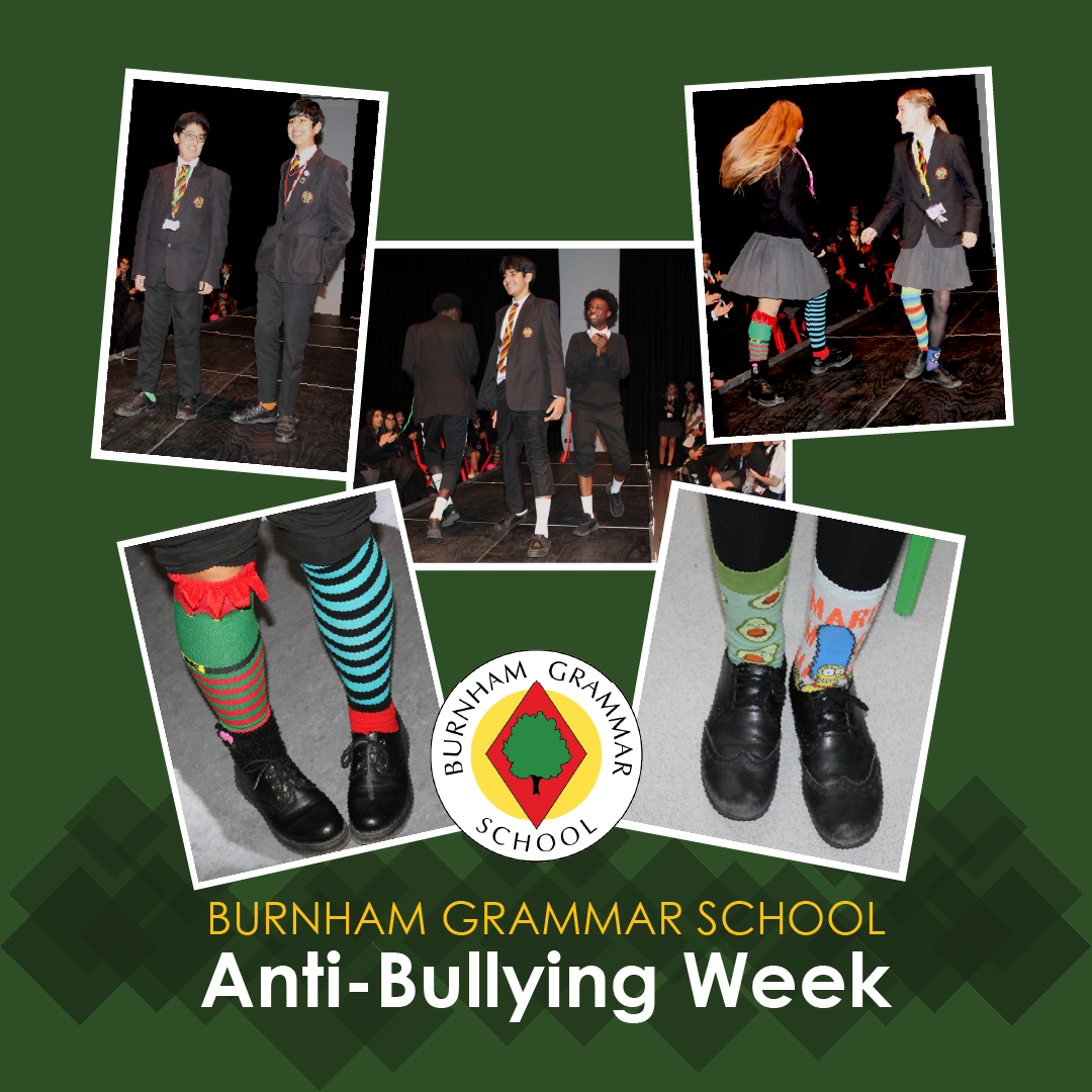 Anti bullying week web site news post