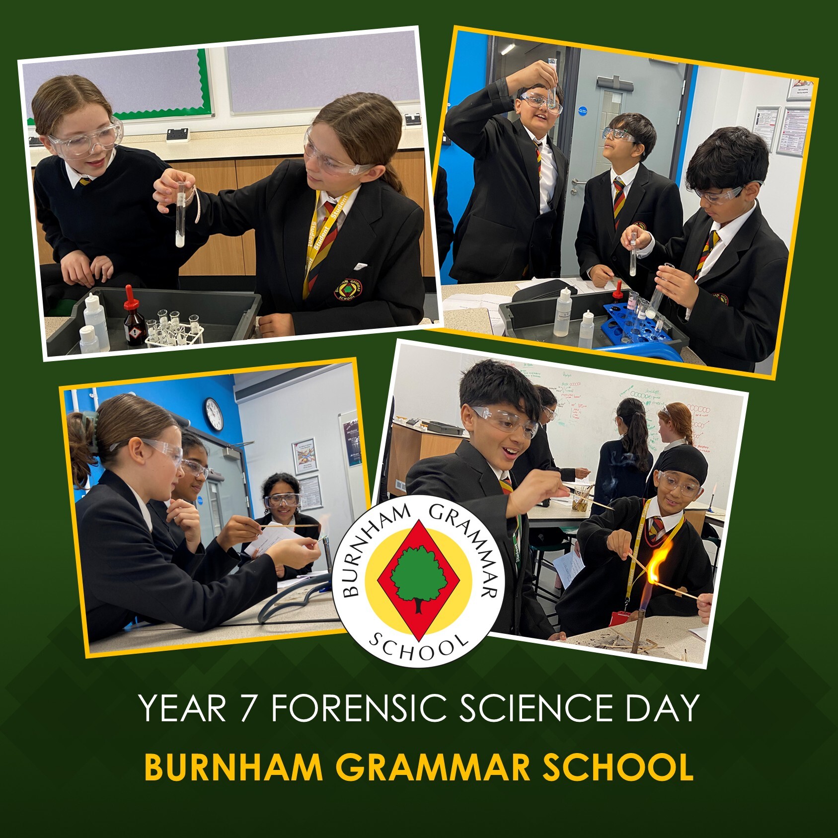 Year 7 forensic science day website image