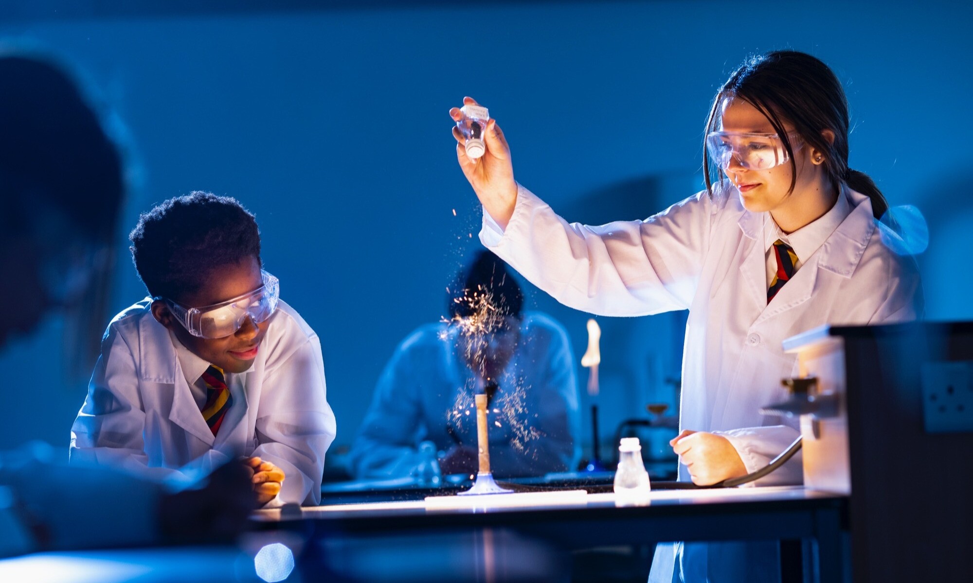 Burnham grammar science experiment